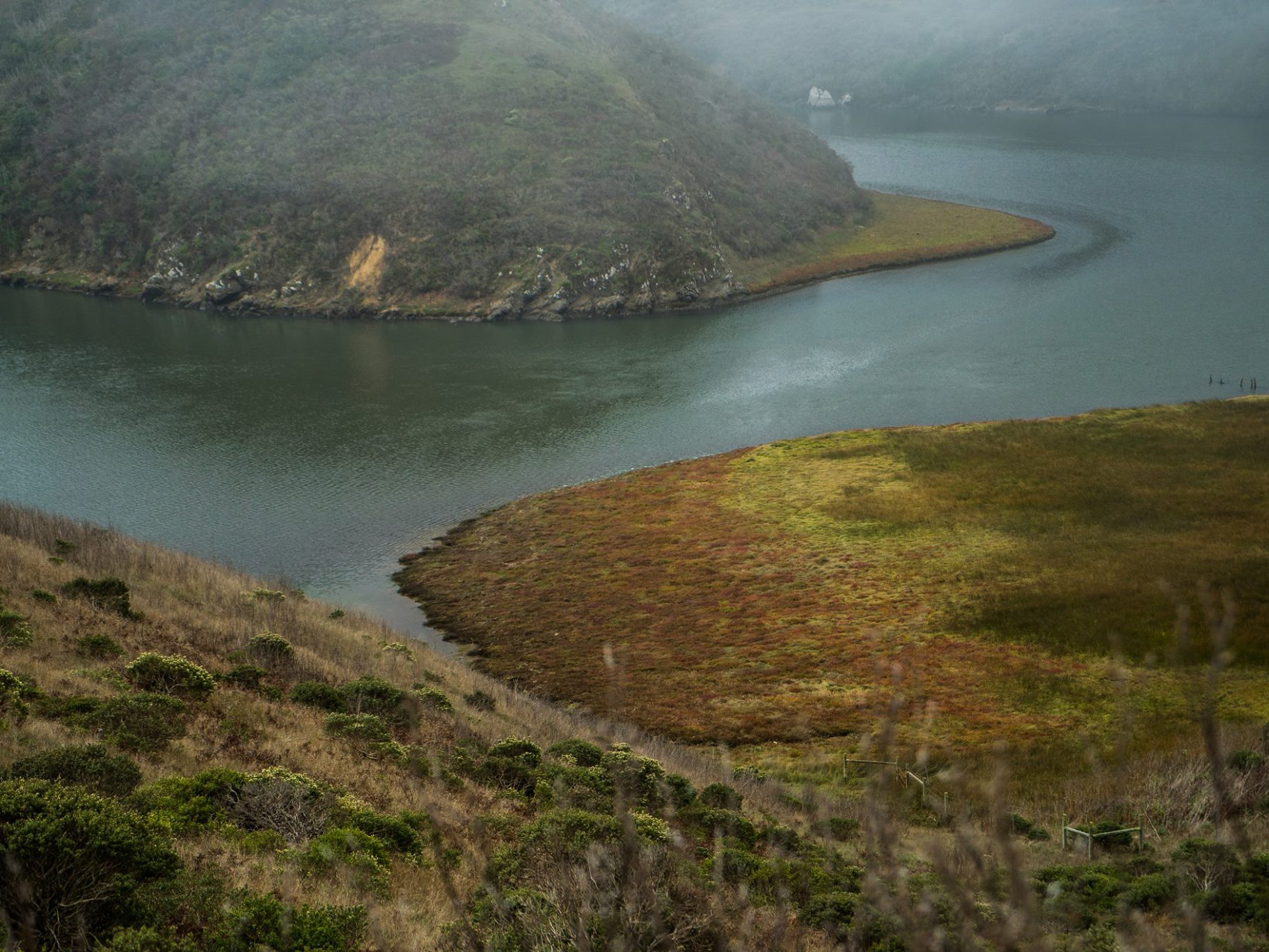 Estero in Sonoma County