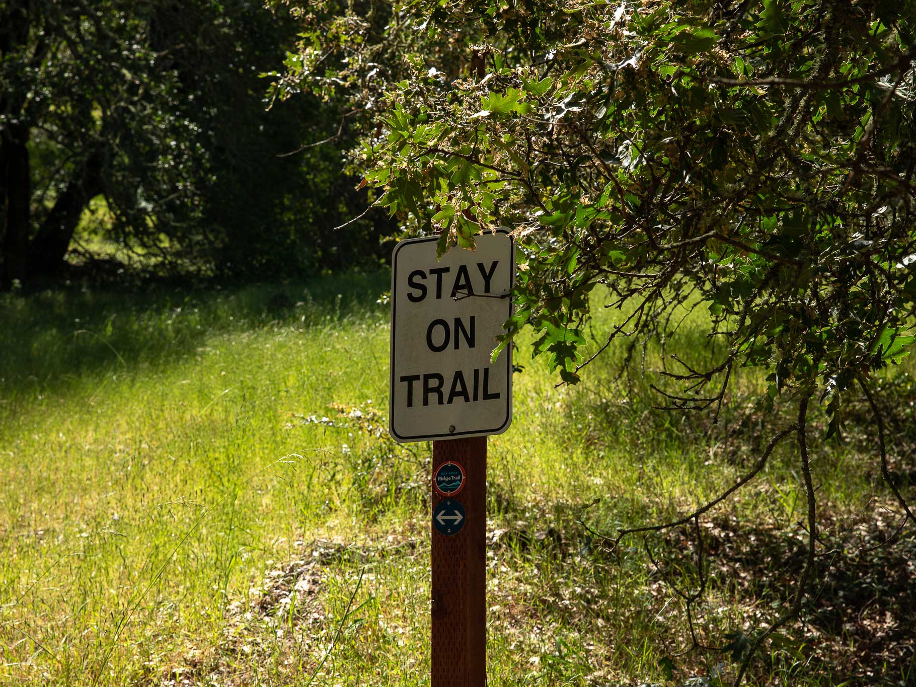 Staying on established trails, rather than creating new ones, helps preserve the landscape and prevent fellow hikers from getting lost.