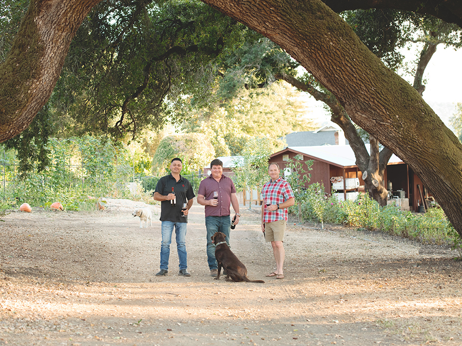 Alexander Valley Vineyards