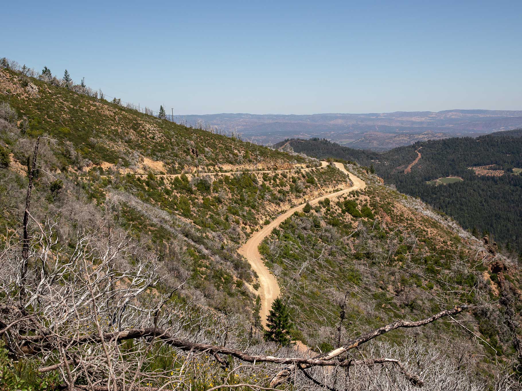 Mount Saint Helena