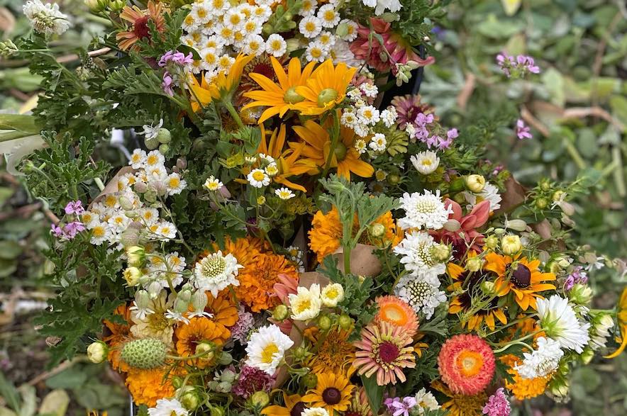 Summer bouquets from Full Bloom Flower Farm 