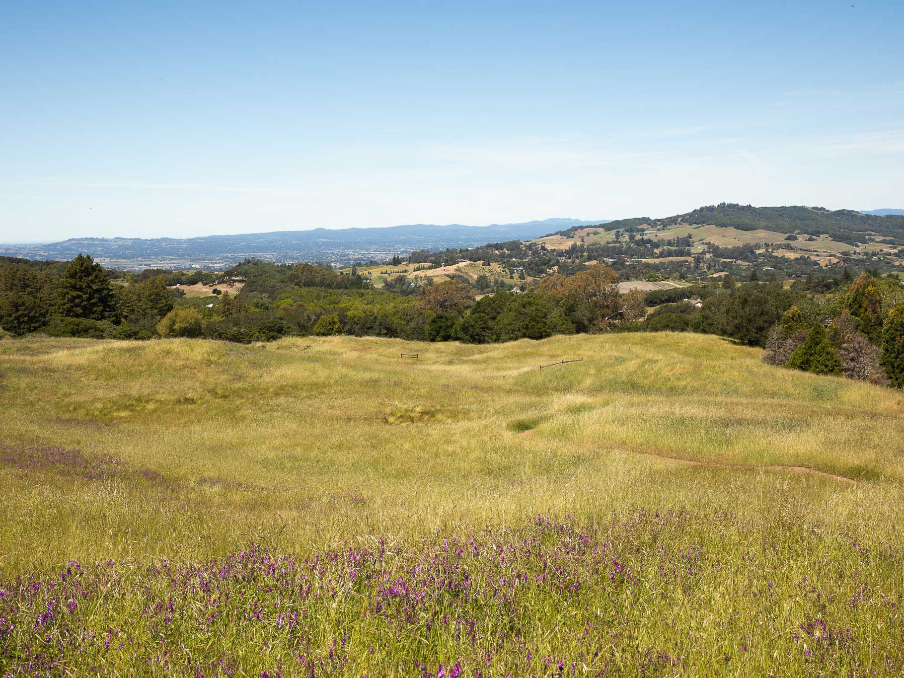 North Sonoma Mountain Ridge Trail