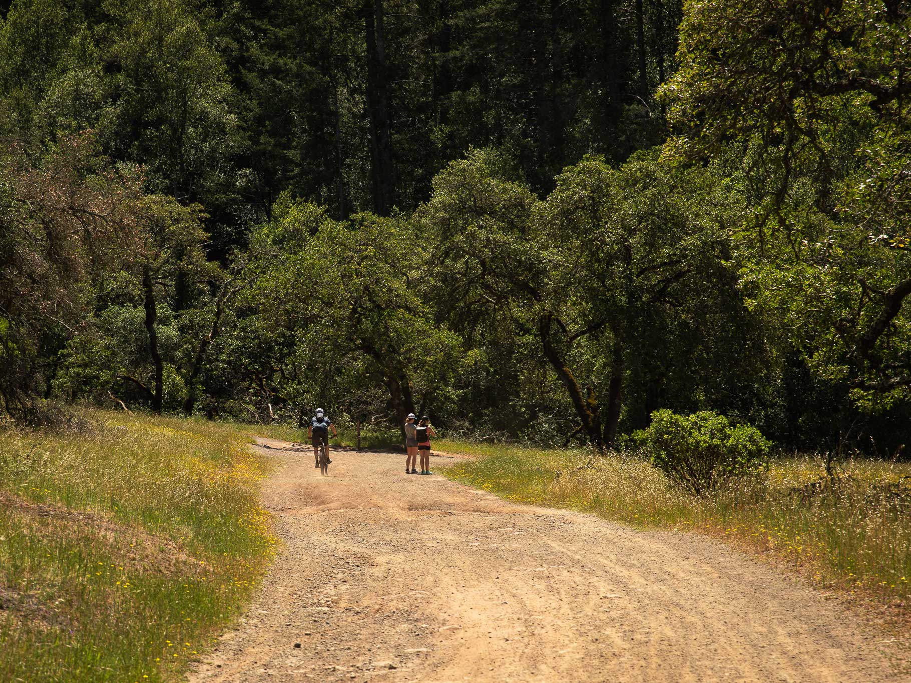 When recreating on multi-use trails, bikers always yield to hikers, and everyone yields to horses. Pictured above is the Richardson Trail, a popular route among hikers and mountain bikers.