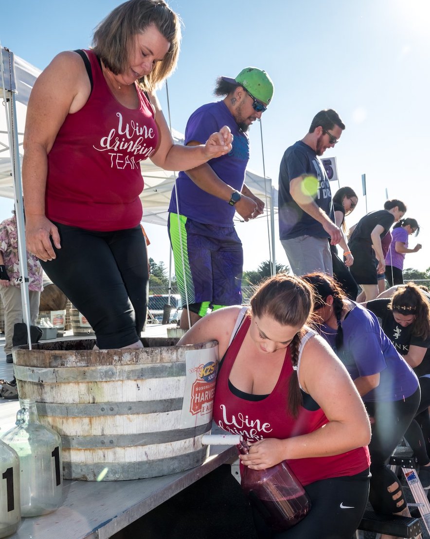 The World Championship Grape Stomp will take place at the Sonoma Harvest Fair on Oct. 15.