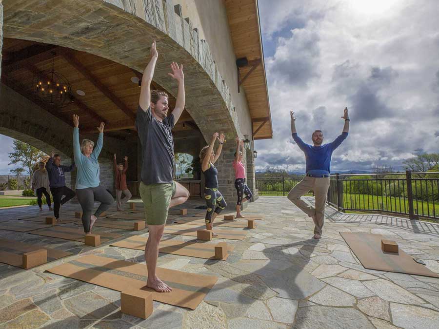 Bricoleur Vineyards Yoga Class, Windsor, CA