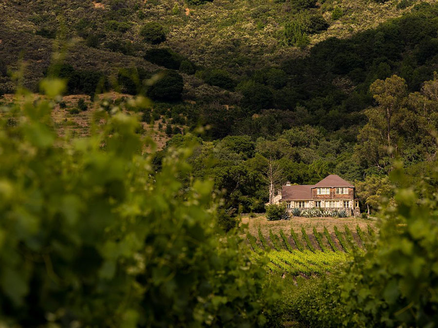 Gundlach Bundschu Winery vineyards