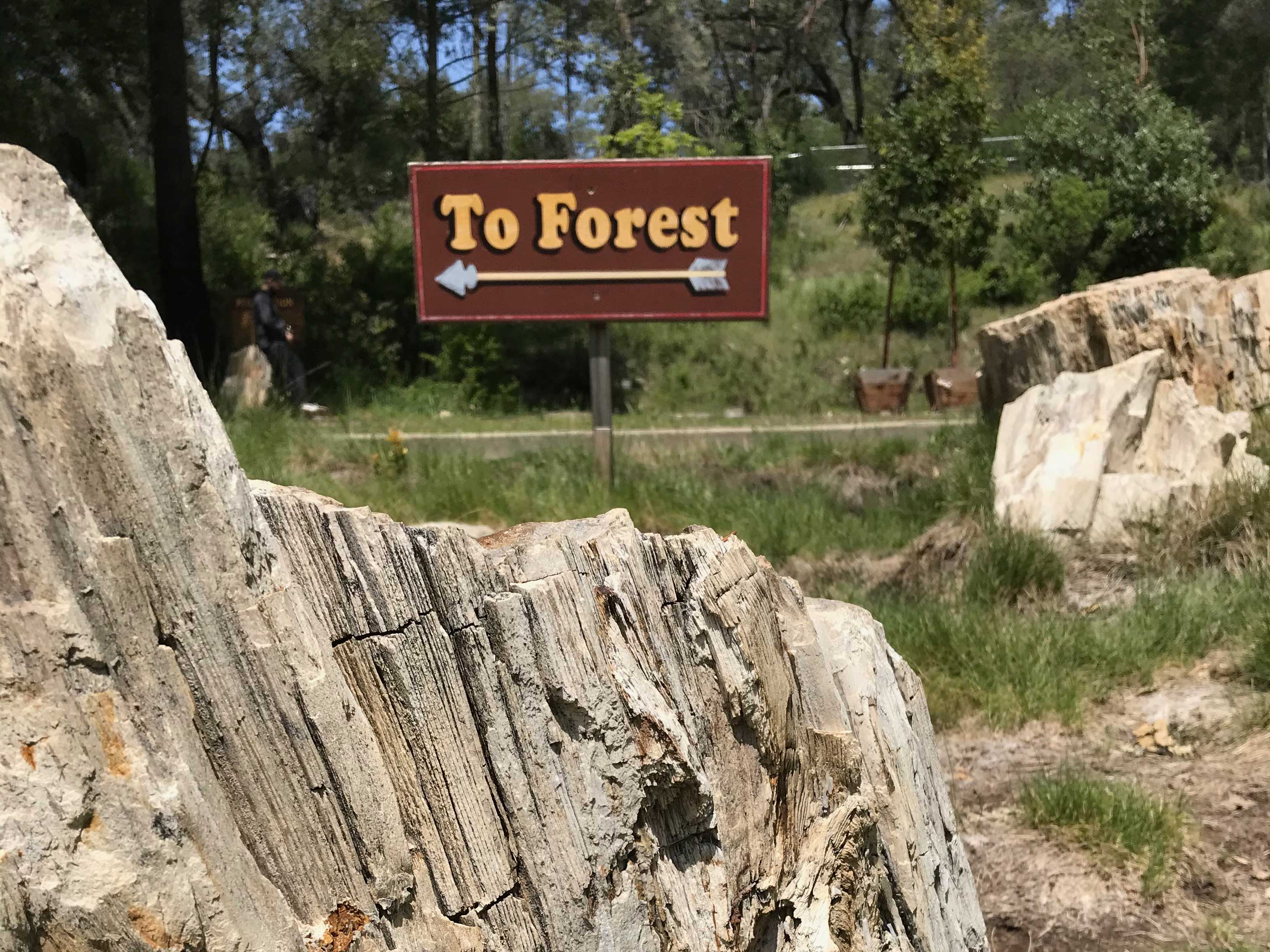 Forest This Way Sign