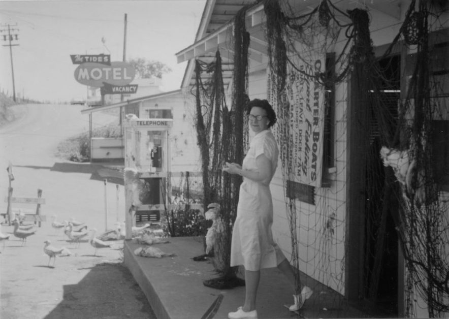 Hazel Mitchell, former Tides Wharf waitress, on the set of "The Birds" in 1962 — Courtesy of the Press Democrat 