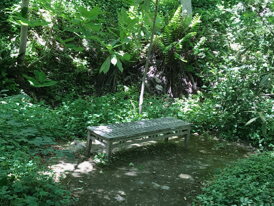 Bench in Sonoma Botanical Garden, Glenn Ellen, CA