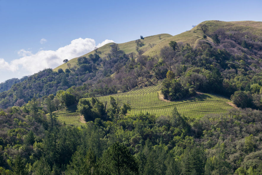 Sugarloaf Ridge State Park (Shutterstock)