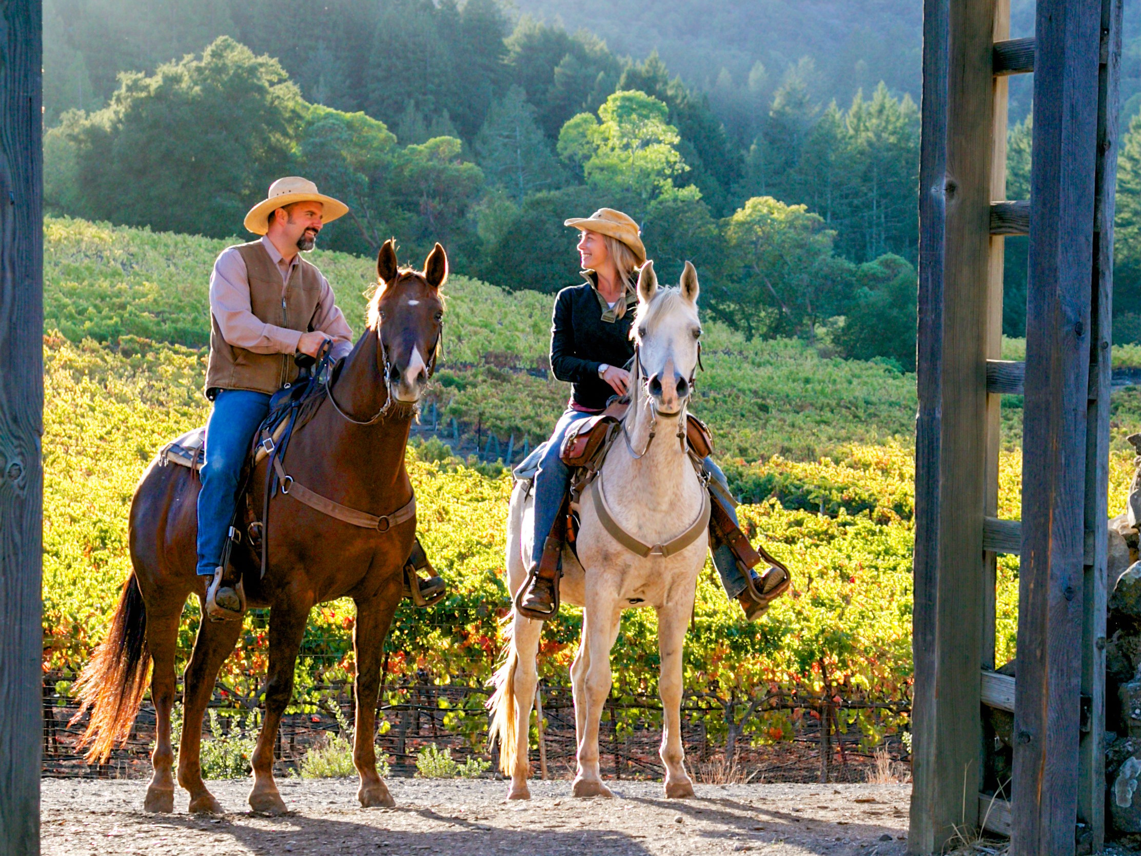 Two people on horses