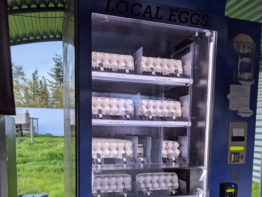 Egg Vending Machine at Wise Acre