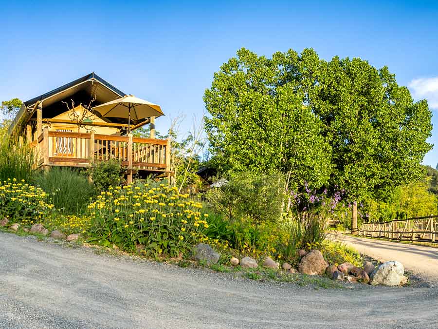 A safari tent sits high up next to trees