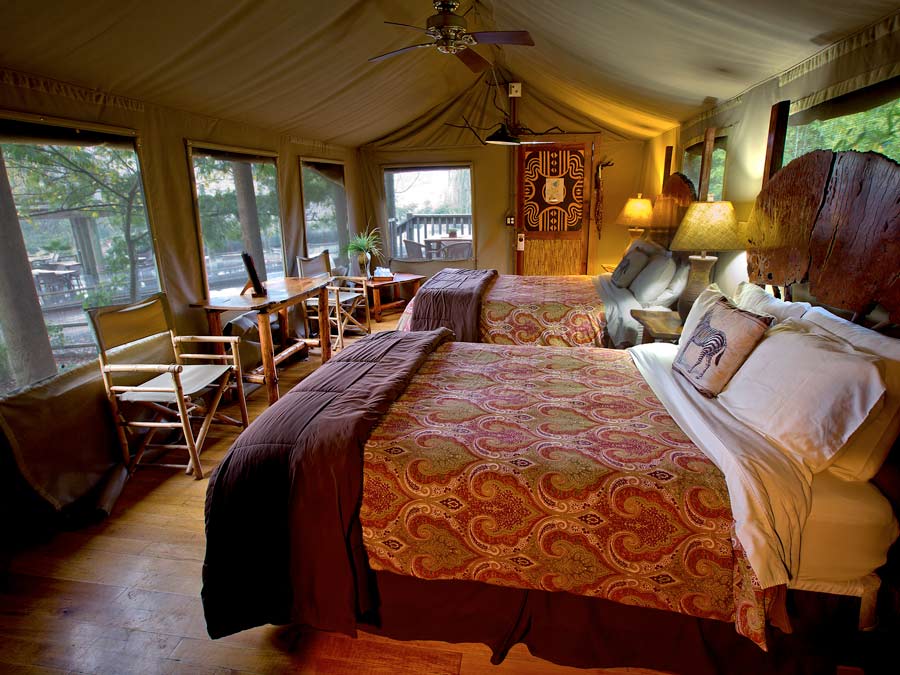 The inside of a luxury safari tent at Safari West in Sonoma County