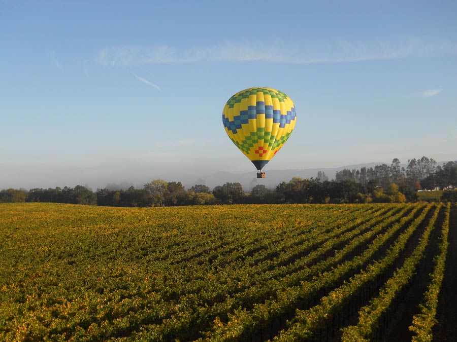 A hot air balloon floats over a vineyard in Sonoma County