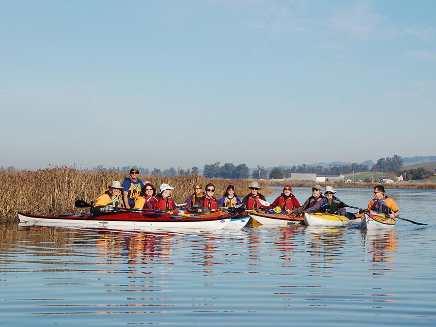 A group kayaks in the Petaluma marsh with Clavey Paddlesports in Petaluma