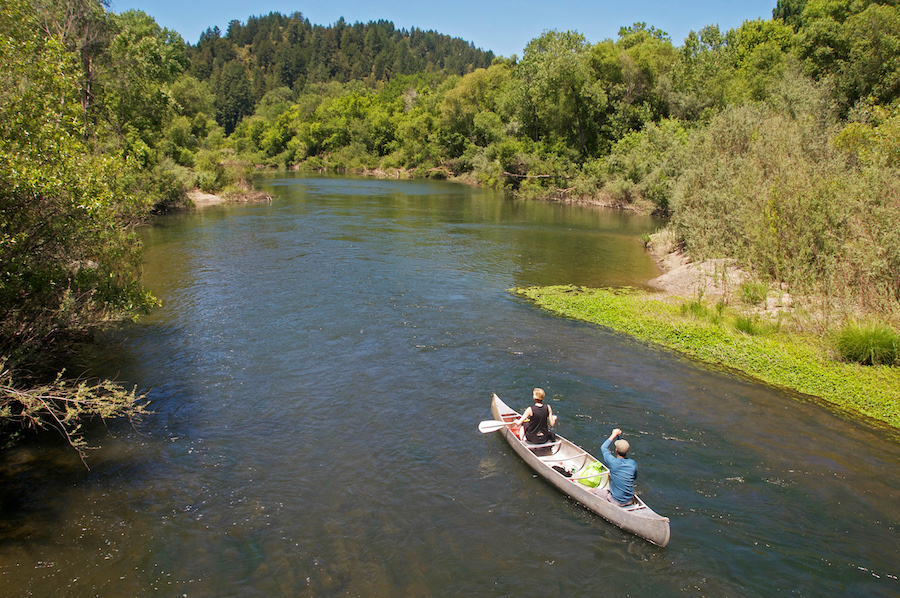 Canoeing on the Russian River