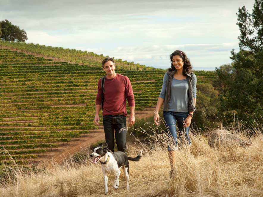 A couple hikes in a vineyard