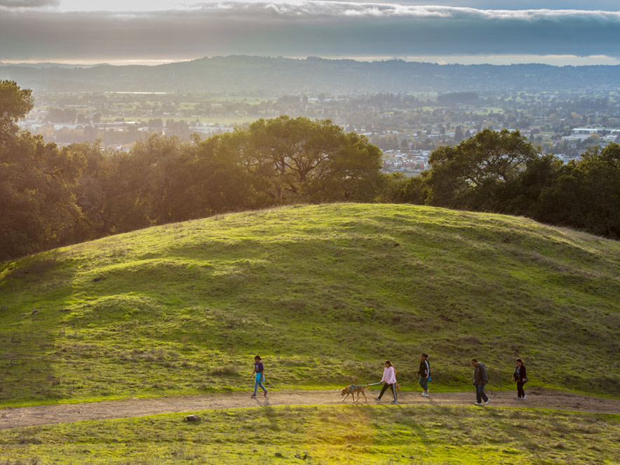 taylor mountain in Sonoma County