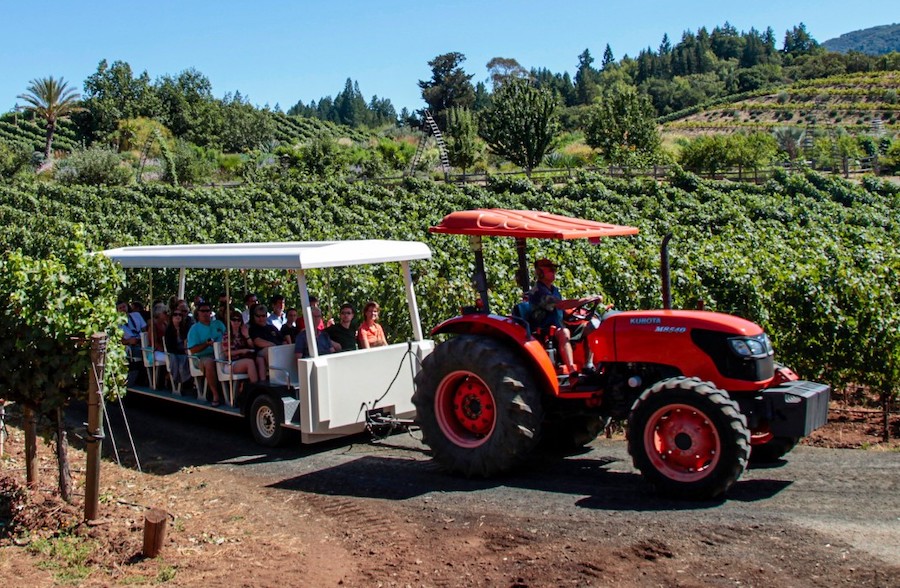 Benziger offers tractor tours of its biodynamic vineyards in Glen Ellen