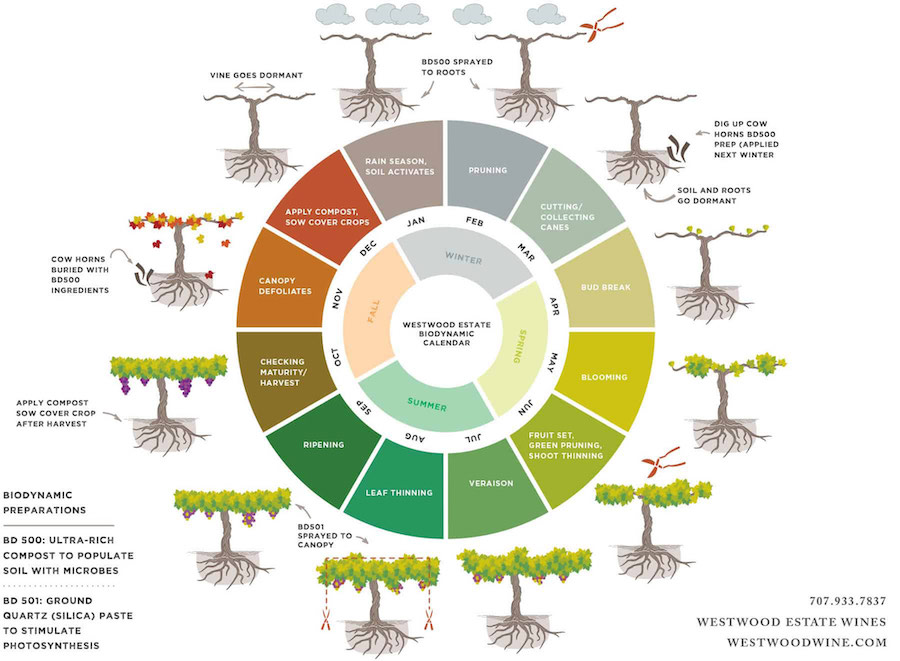 Biodynamic farming calendar used by Westwood Estate Wines (which is also certified organic and sustainable)