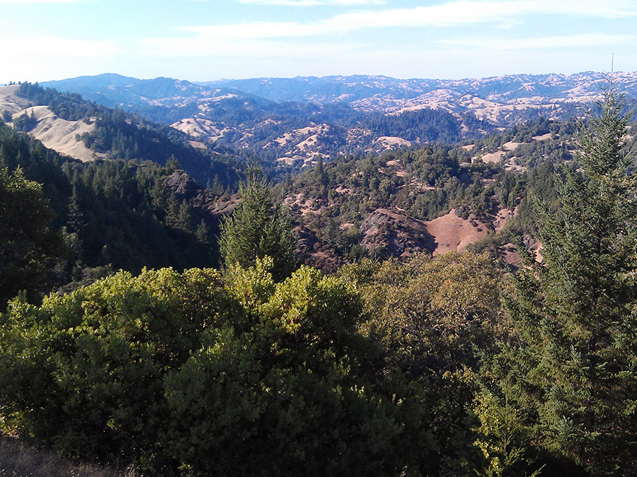 Sonoma Coast inland view