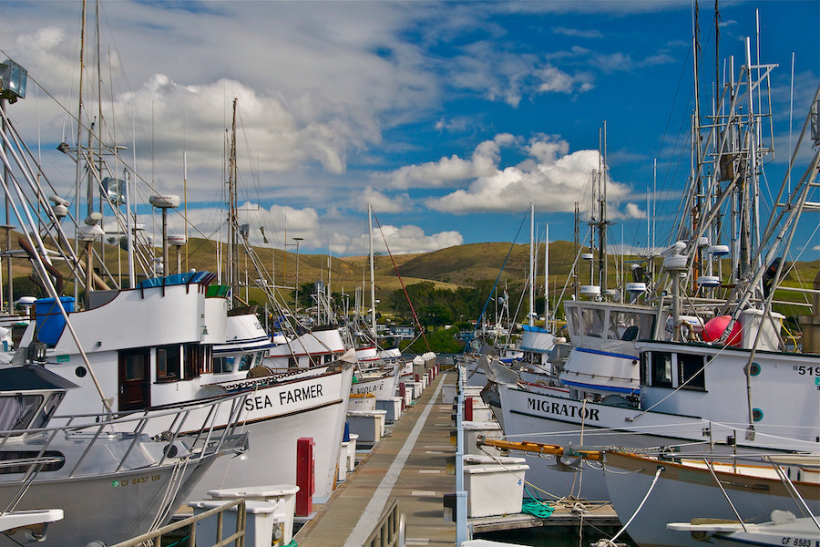 Spud Point Marina in Bodega Bay 