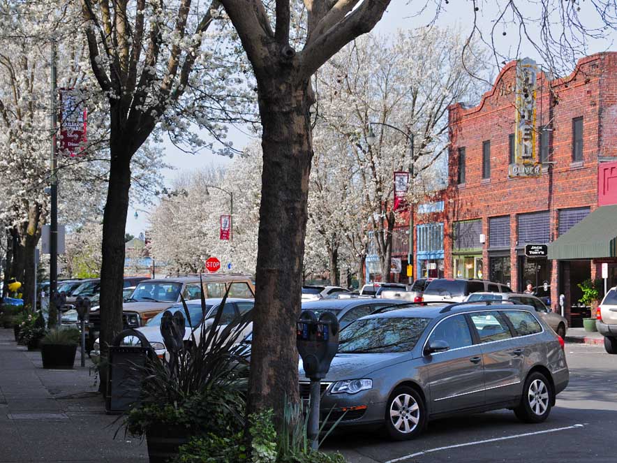 Shops line the streets under blooming trees