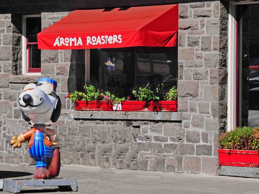 A statue of Snoopy in front of A'roma Roasters in Railroad Square, Sonoma County