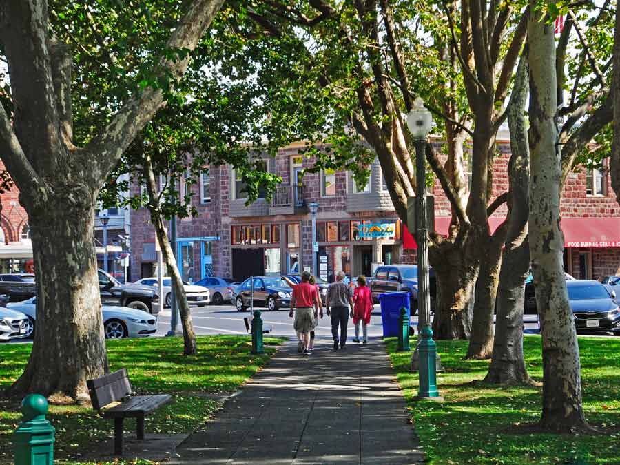 People walk through the tree-lined Sonoma Plaza