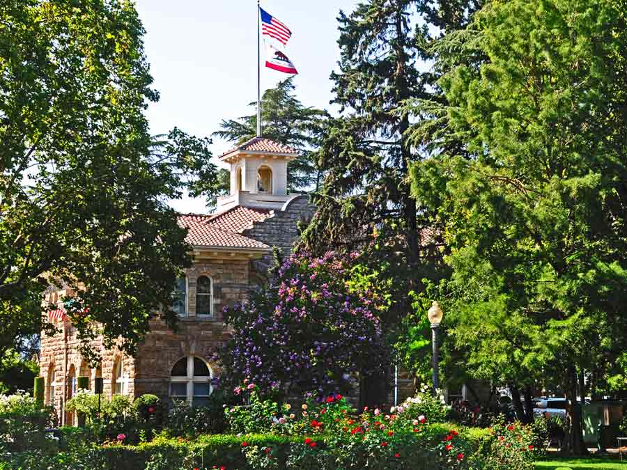 Sonoma's City Hall is surrounded by flowering trees in Sonoma County