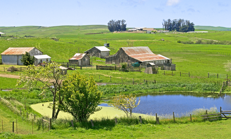 Valley Ford is Northern California ranching country 