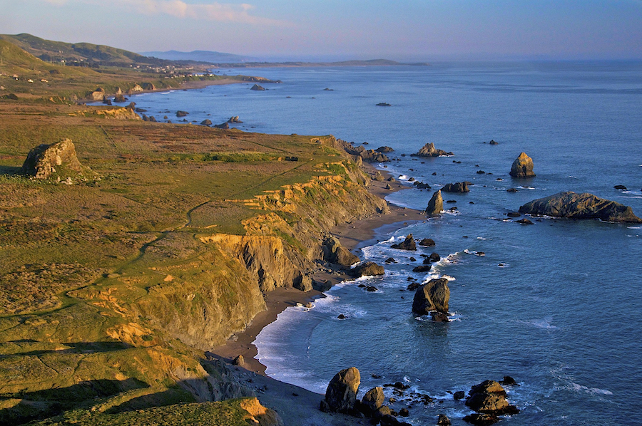 Sonoma Coast State Park 