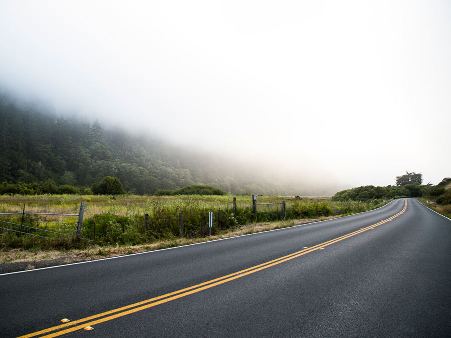 A road is shrouded in coastal fog in Sonoma County