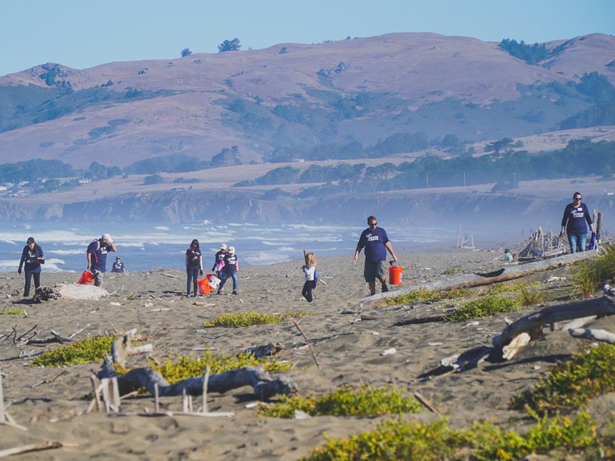 Image of Tourism Cares volunteers at the Bodega Dunes. 