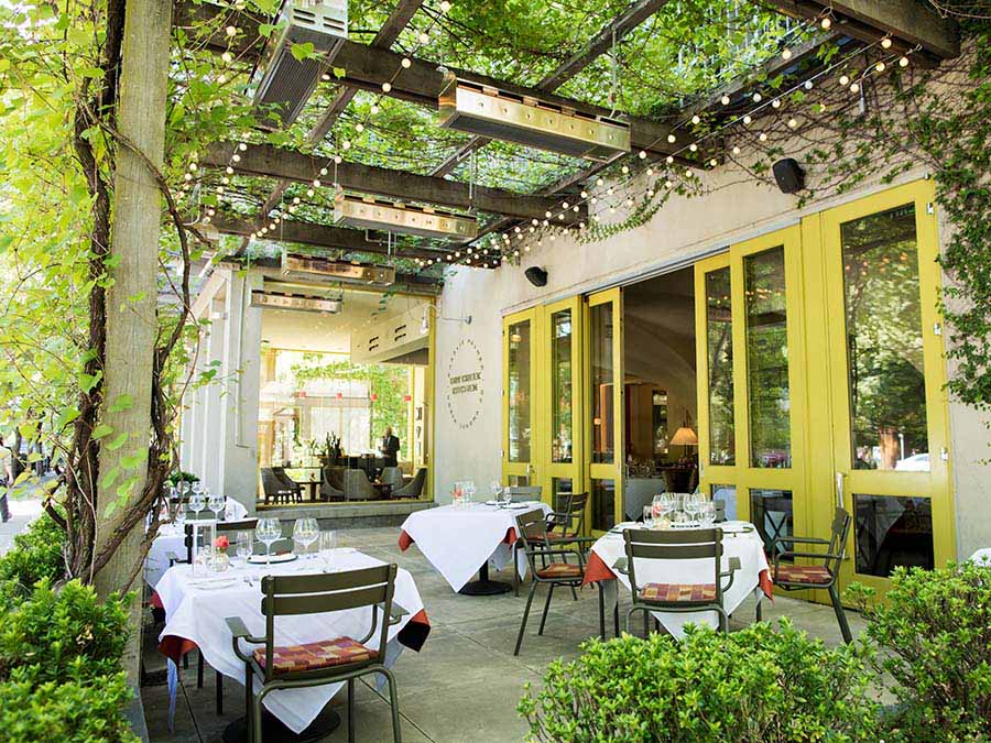 A patio with vines growing above