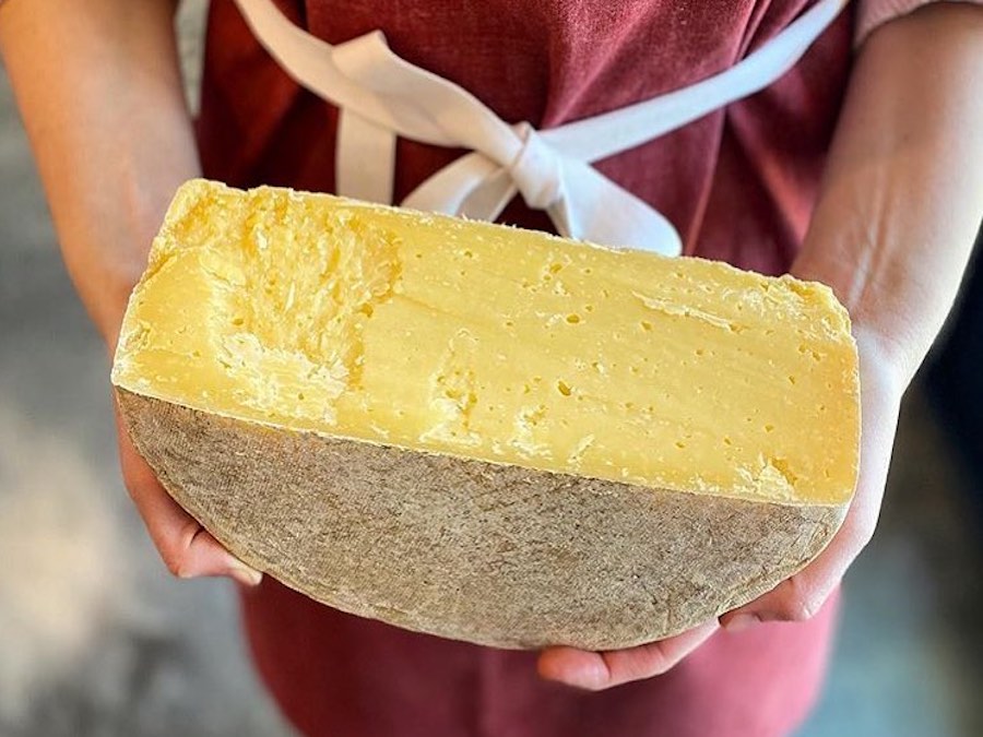 Estero Gold, the first cheese created by Valley Ford Cheese & Creamery 