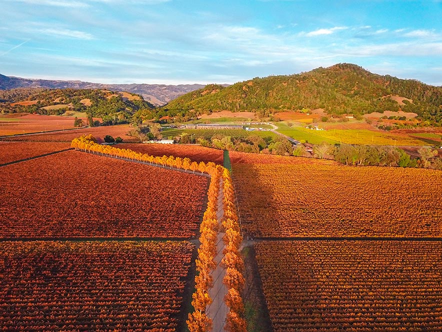 Stonestreet Vineyards in Alexander Valley AVA