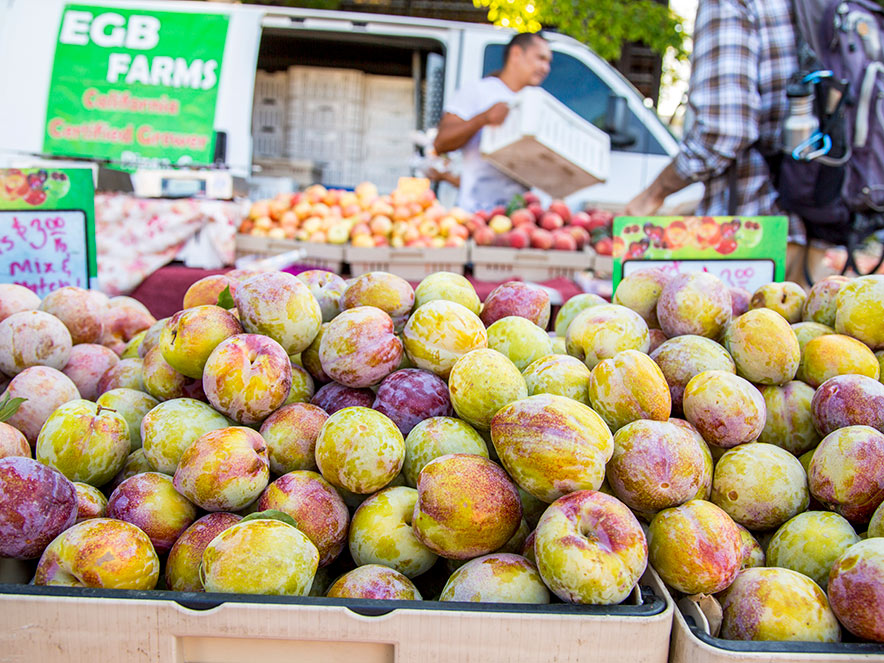 Juicy yellow and purple plums are stacked up ready to be bought at the farmers market