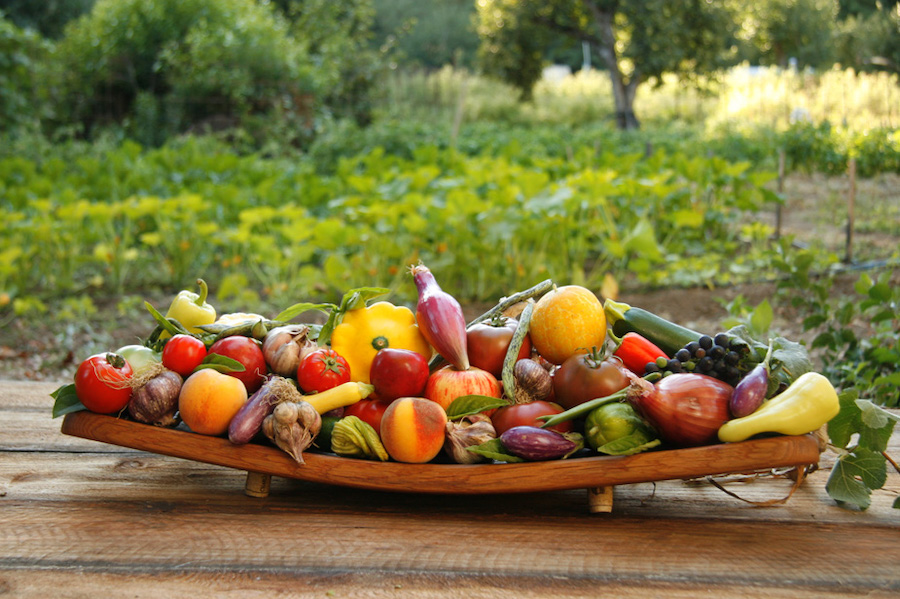 Produce in Sonoma County is known for being sustainably farmed—and delicious 