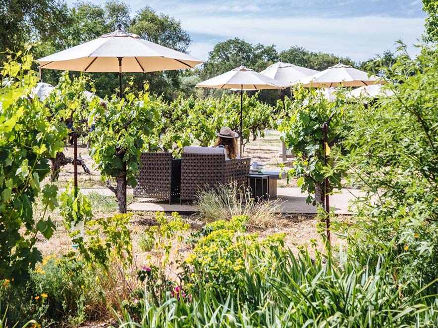 tables in field at abbots passage winery