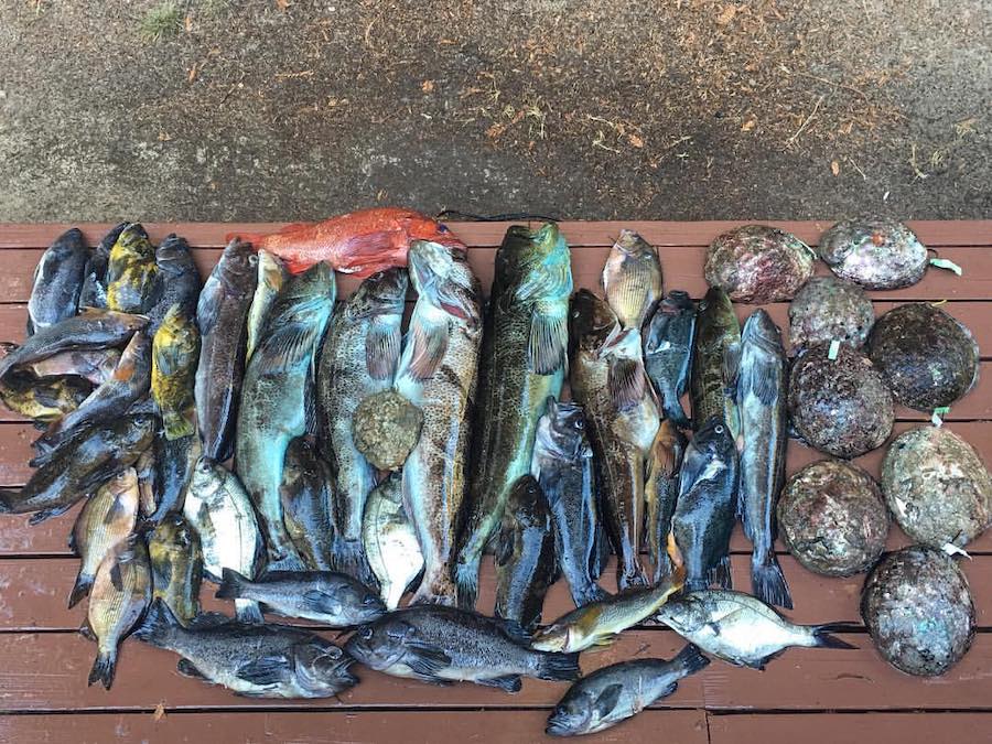 Higher tides in the off-season increase your chances of a great Sonoma Coast fishing haul 