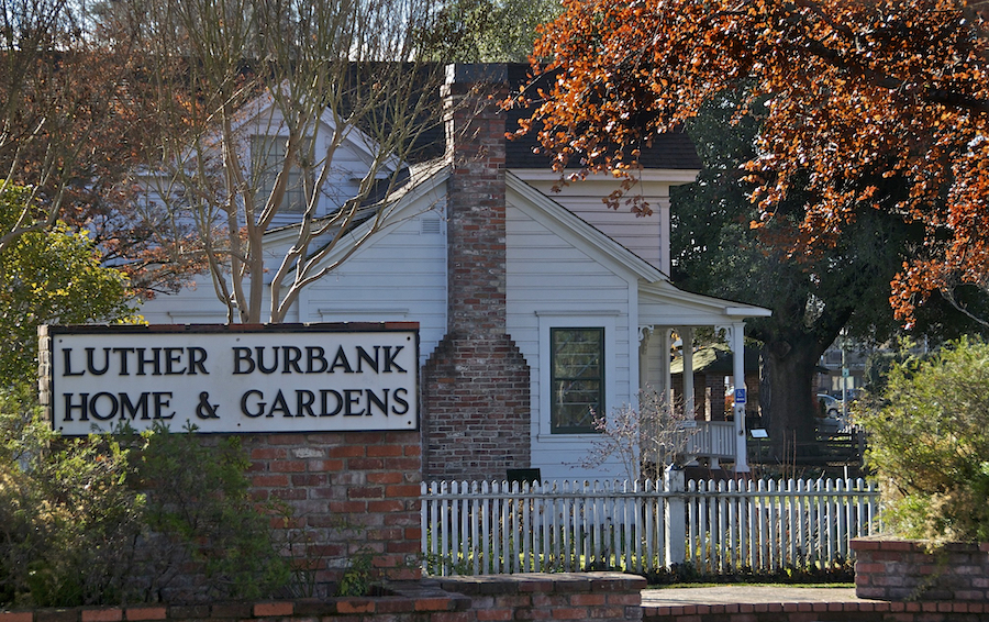 Luther Burbank Home & Gardens