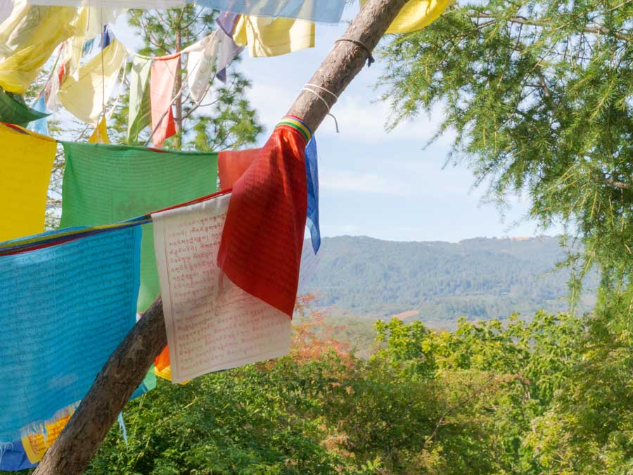 Prayer flags blow in the wind at the top of a peak