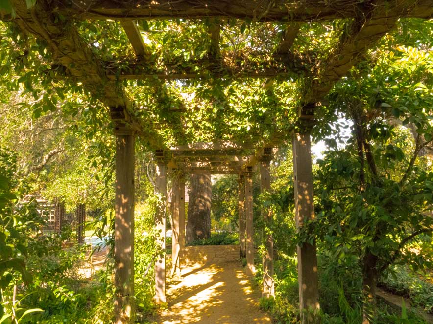 Image of trellis at Quarryhill gardens.