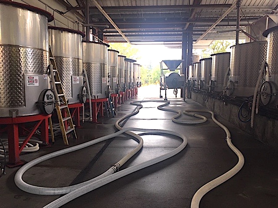 Before and after fermentation, grape juice is transferred between vessels by a network of hoses