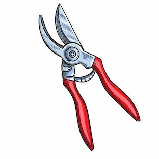 pruning shears