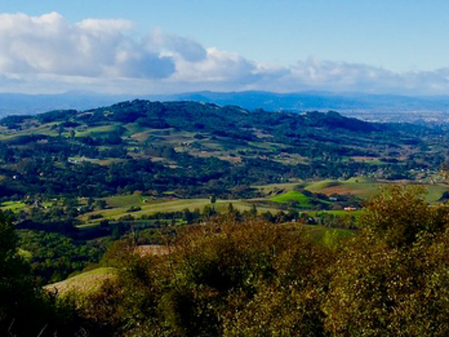 North Sonoma Mountain Regional Park and Open Space Preserve has lovely views in Sonoma County