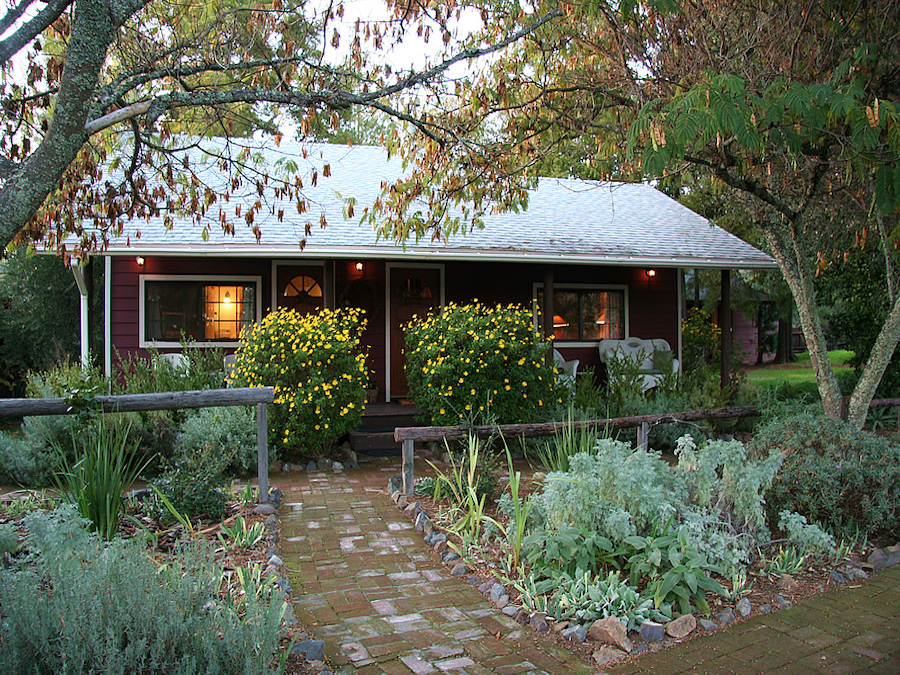 Little red cottage with a brick walkway and a porch, amidst flowering bushes and trees 