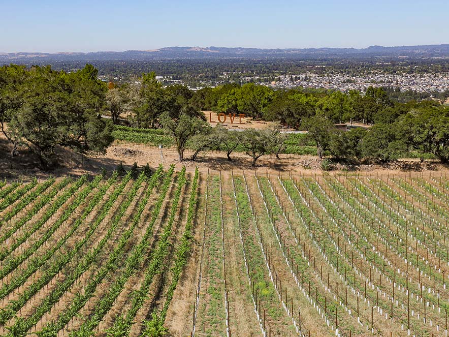 aerial view of paradise ridge and love sculpture